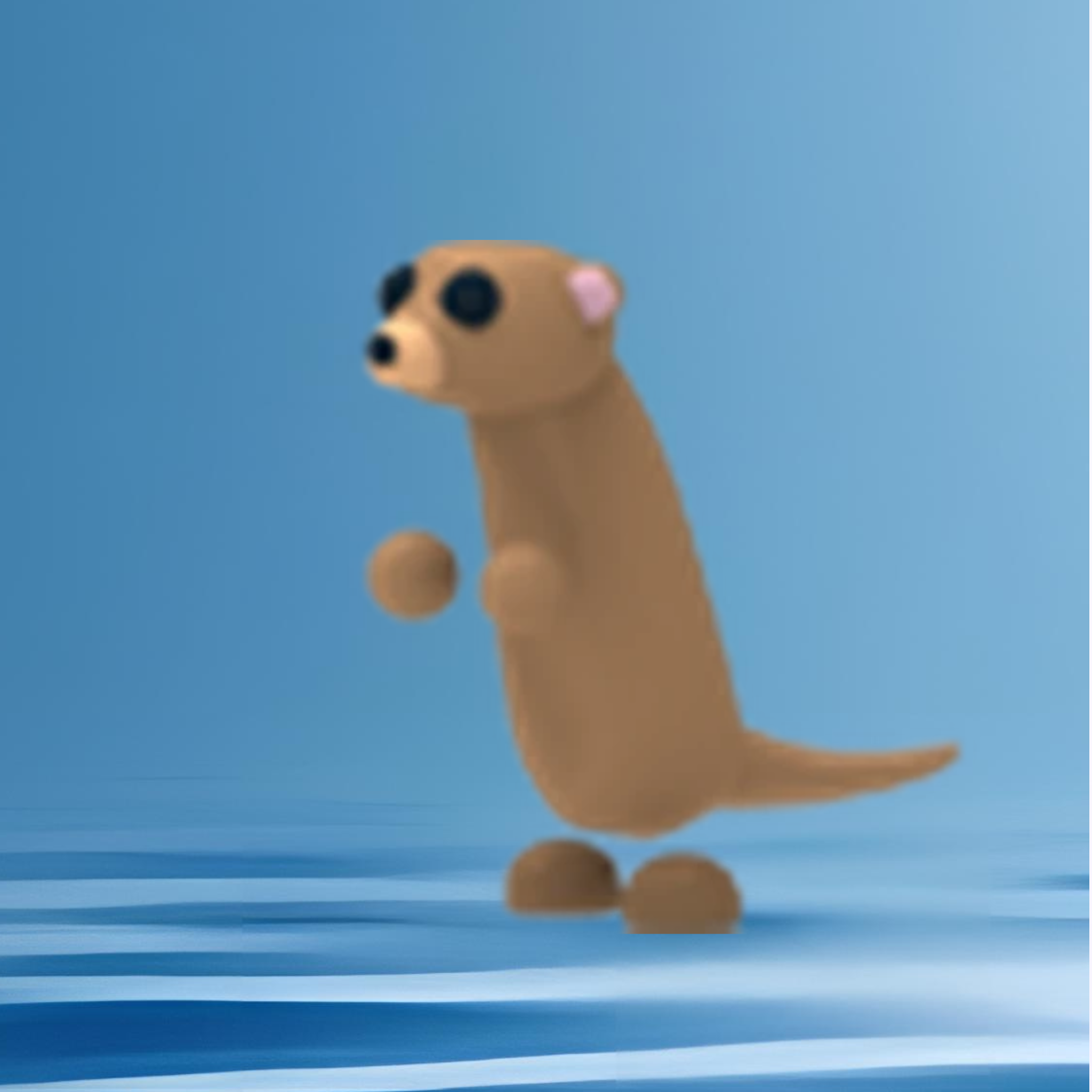 Meerkat