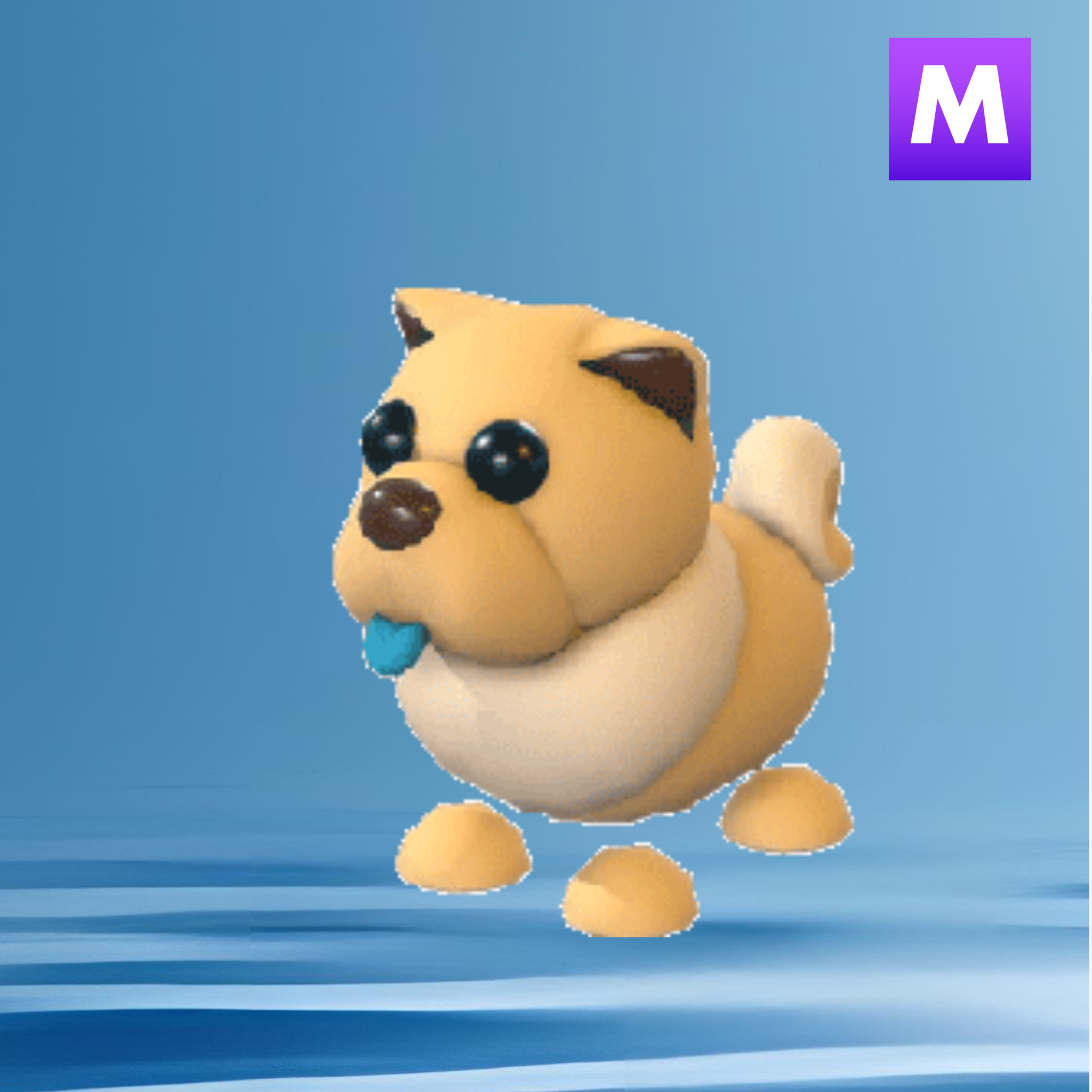 Mega Tan Chow Chow