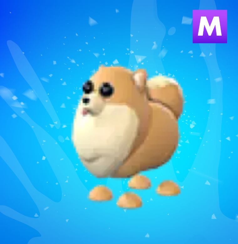 Mega Pomeranian
