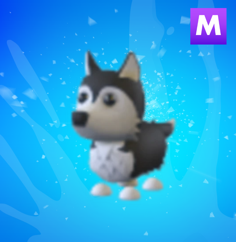 Mega Husky