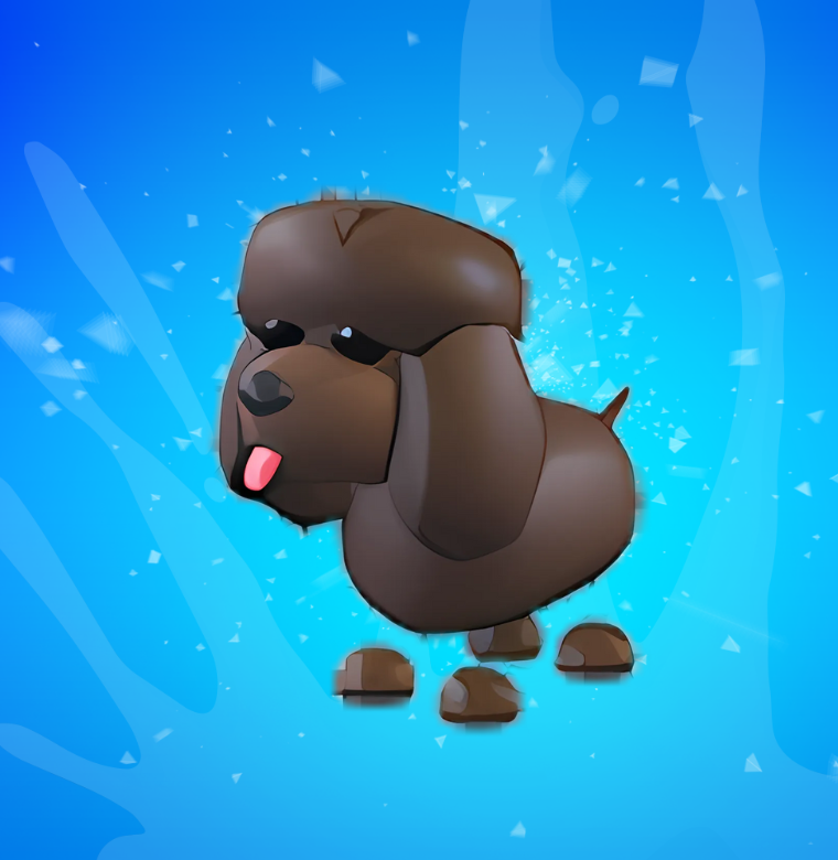 Irish Water Spaniel