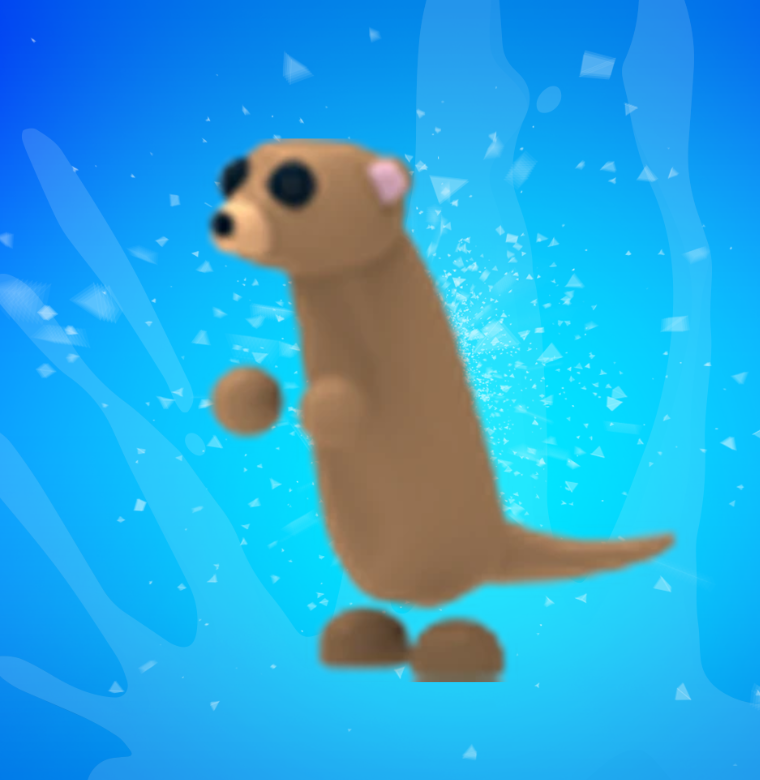 Meerkat
