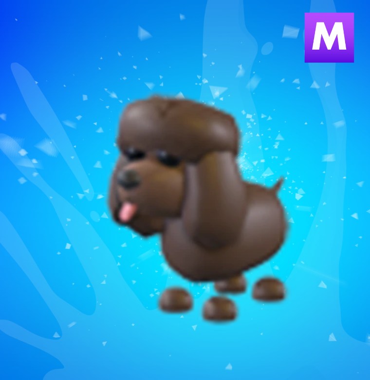 Mega Irish Water Spaniel
