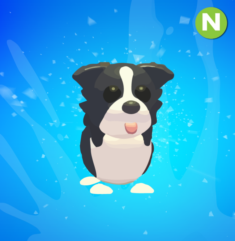 Neon Border Collie
