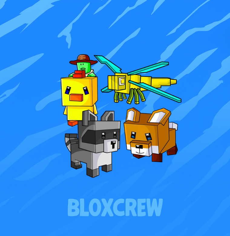 Exotic Bundle
