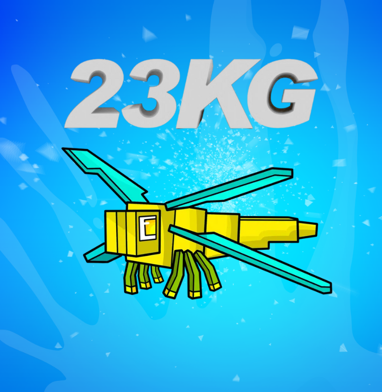 Huge Dragon Fly ( 23 KG )
